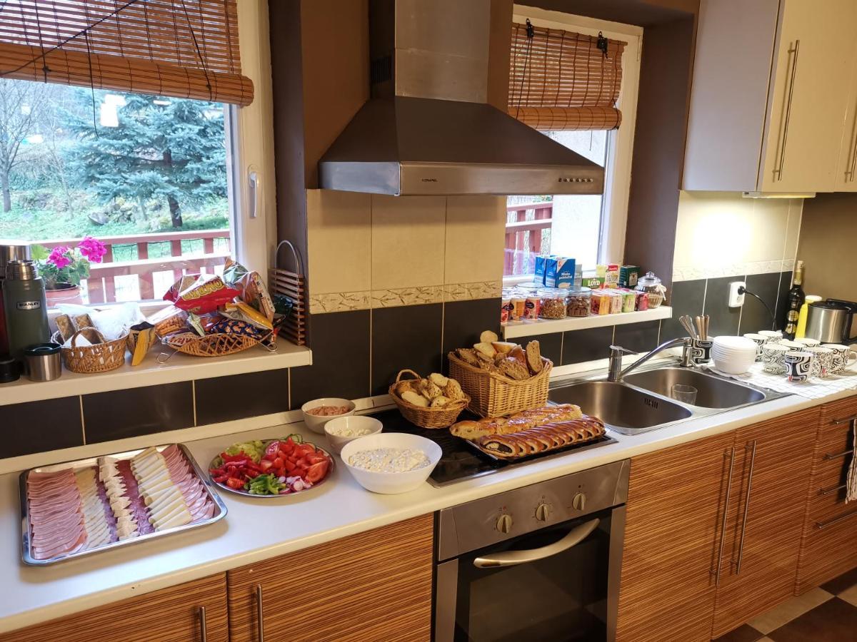 Privat Adriana Apartment Kremnica Bagian luar foto